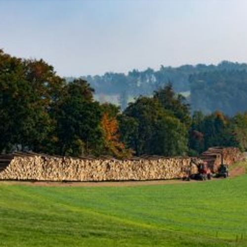 Holzvermarktung Holzvermarktung