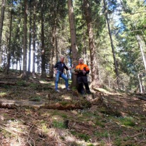 Waldbetreuung Waldbetreuung